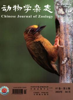 动物学期刊